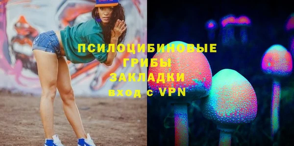 дмт Михайловск